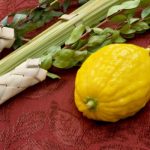 Shabbat Sukkot Service