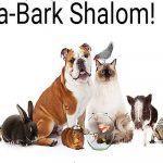 Sha'Bark Shalom Shabbat - Hybrid