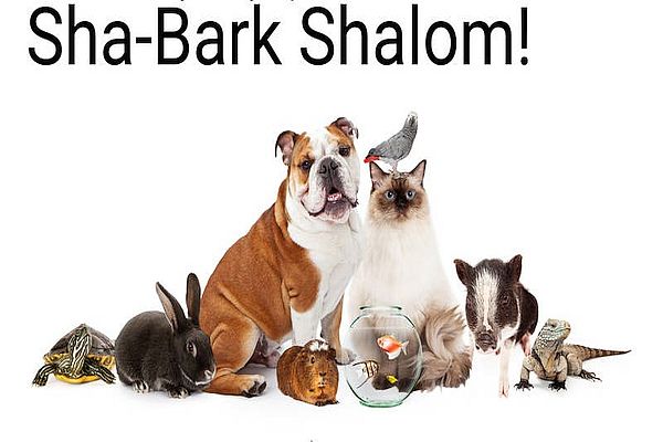 Sha'Bark Shalom Shabbat - Hybrid