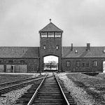 Group Visit to Auschwitz Exhibition